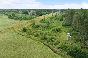 Xxx Cass Line Rd, Menahga, MN 56434 - Photo 1