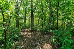 38287 Country Estate Rd, Battle Lake, MN 56515 - Photo 16