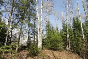 6047 Voyageurs Trl, Biwabik, MN 55708 - Photo 1