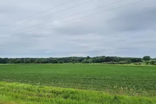 35755 200th St, Battle Lake, MN 56515 - Photo 12