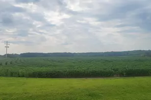 35755 200th St, Battle Lake, MN 56515 - Photo 6