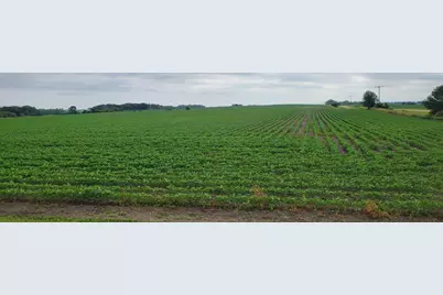 35755 200th Street, Battle Lake, MN 56515 - Photo 10