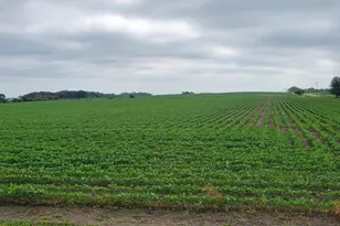 35755 200th St, Battle Lake, MN 56515 - Photo 10