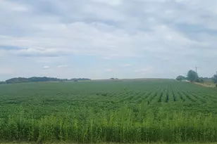 35755 200th St, Battle Lake, MN 56515 - Photo 8