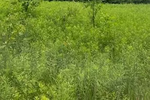 Xxx 210th St, Milaca, MN 56353 - Photo 1