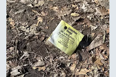 405 Summit Lane E, Burnsville, MN 55337 - Photo 4