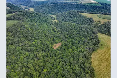 26085 Frank Hill Road, Winona, MN 55987 - Photo 56