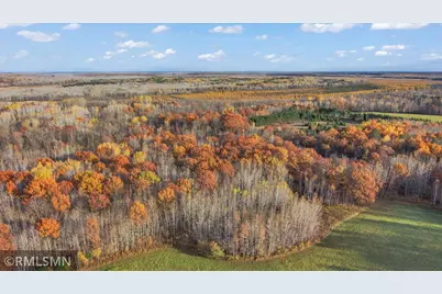 29224 Hawks Nest Lane, Hinckley, MN 55037 - Photo 4