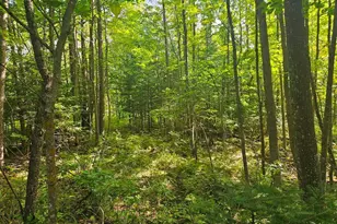 Lt 1 Blk 1 County Rd 238, Deer River, MN 56636 - Photo 1