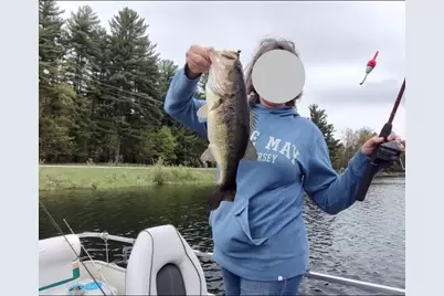 3572 State 84 NE, Longville, MN 56655 - Photo 28