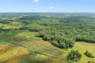 23Xxx Olympic St, Whited Twp, MN 55007 - Photo 8