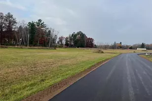 Lot 7 Woods Edge Ct, Ironton, MN 56455 - Photo 22