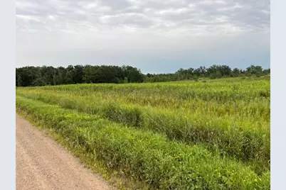 Tbd Olympic Street, Whited Twp, MN 55007 - Photo 2