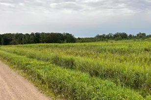 Tbd Olympic St, Whited Twp, MN 55007 - Photo 2