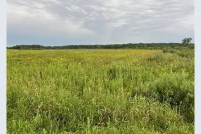 Xxx240th A Olympic Street, Whited Twp, MN 55007 - Photo 4