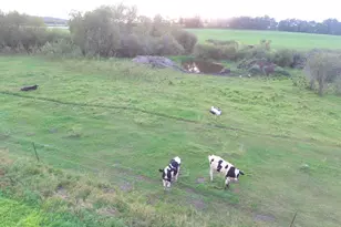 18398 360th St, Eagle Valley Twp, MN 56446 - Photo 10