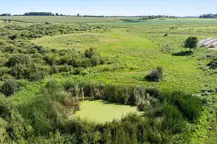 18398 360th St, Eagle Valley Twp, MN 56446 - Photo 8