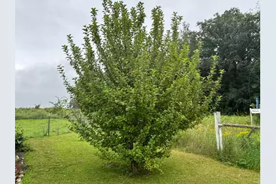18398 360th Street, Eagle Valley Twp, MN 56446 - Photo 24