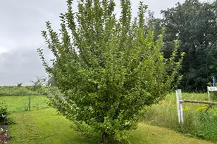 18398 360th St, Eagle Valley Twp, MN 56446 - Photo 24