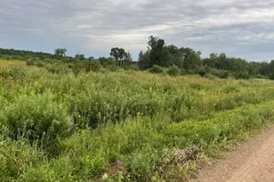 2356 Olympic St, Whited Twp, MN 55007 - Photo 2