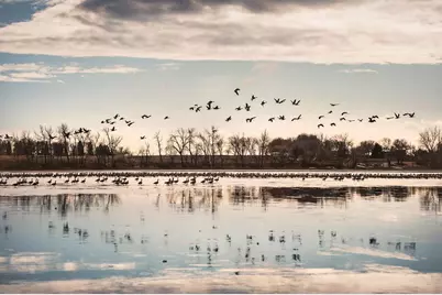 2245 Cottonwood Lake Drive, Windom, MN 56101 - Photo 40