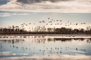 2245 Cottonwood Lake Dr, Windom, MN 56101 - Photo 40