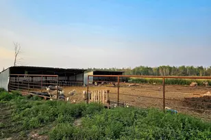 17430 280th St, Sebeka, MN 56477 - Photo 36