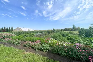 49404 109th Ave, Gonvick, MN 56644 - Photo 72