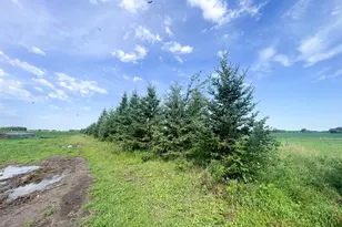 49404 109th Ave, Gonvick, MN 56644 - Photo 74