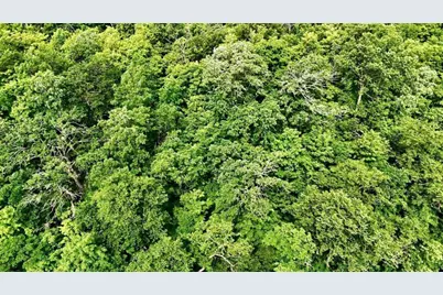 25213 Broadway Avenue, Holmesville Twp, MN 56501 - Photo 14