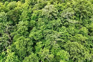 25213 Broadway Ave, Holmesville Twp, MN 56501 - Photo 14