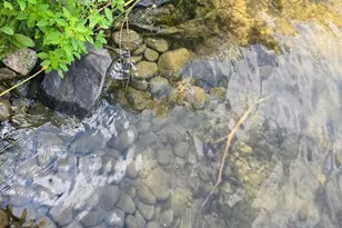 32408 Strawberry Ct, Sugar Bush E Twp, MN 56569 - Photo 4