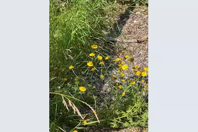 2019 Whiting Road NW, Bemidji, MN 56601 - Photo 94