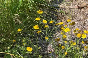 2019 Whiting Rd NW, Bemidji, MN 56601 - Photo 94