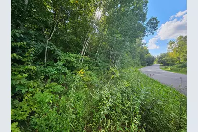 Tbd 263rd Street, Shafer, MN 55074 - Photo 4