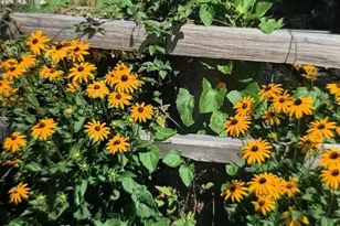 24140 W Fawn Rd NE, Stacy, MN 55079 - Photo 32