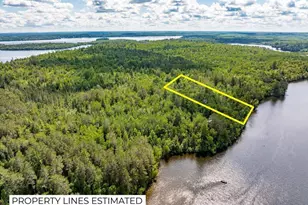 Tract B Hinsdale Island, Greenwood, MN 55723 - Photo 1