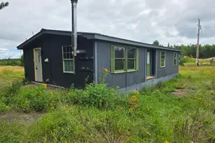 7253 Giants Ridge Rd, Embarrass, MN 55732 - Photo 1