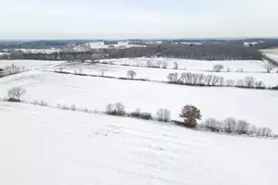 E8403 State Road 85, Mondovi, WI 54755 - Photo 48