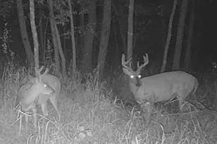 Lot 5 Butternut Rd, Brainerd, MN 56401 - Photo 2