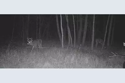 Lot 5 Butternut Road, Brainerd, MN 56401 - Photo 36