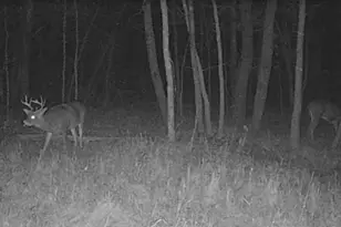 Lot 5 Butternut Rd, Brainerd, MN 56401 - Photo 36