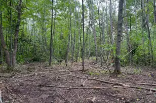 Lot 5 Butternut Rd, Brainerd, MN 56401 - Photo 4