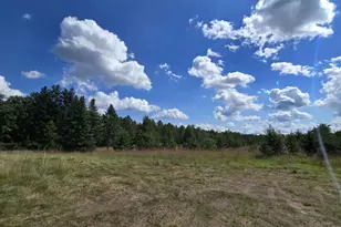 Tract D State Hwy 84 SW, Pine River, MN 56474 - Photo 1