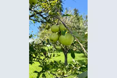 18256 State Hwy 43, Mabel, MN 55954 - Photo 20