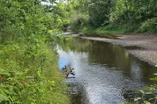 000 Markville Rd, Arna Township, MN 55072 - Photo 1