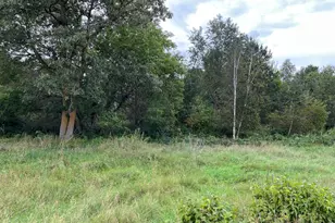 Tbd 112 Th, Fairview Township, MN 56473 - Photo 1