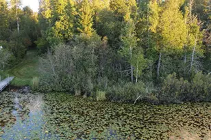 32118 E Gunn Lake Trail, Marcell, MN 56657 - Photo 54