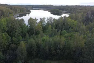 Parcel B E Gunn Lake Trail, Marcell, MN 56657 - Photo 1
