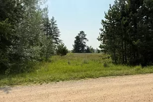 Tbd Pony Lake Road NW, Bemidji, MN 56601 - Photo 1